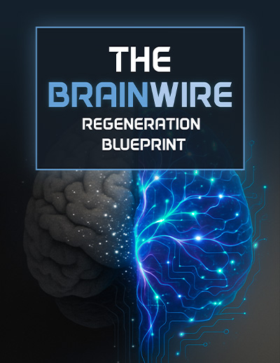 AudiFort Official Bonus 2 - Sound Mind Guide